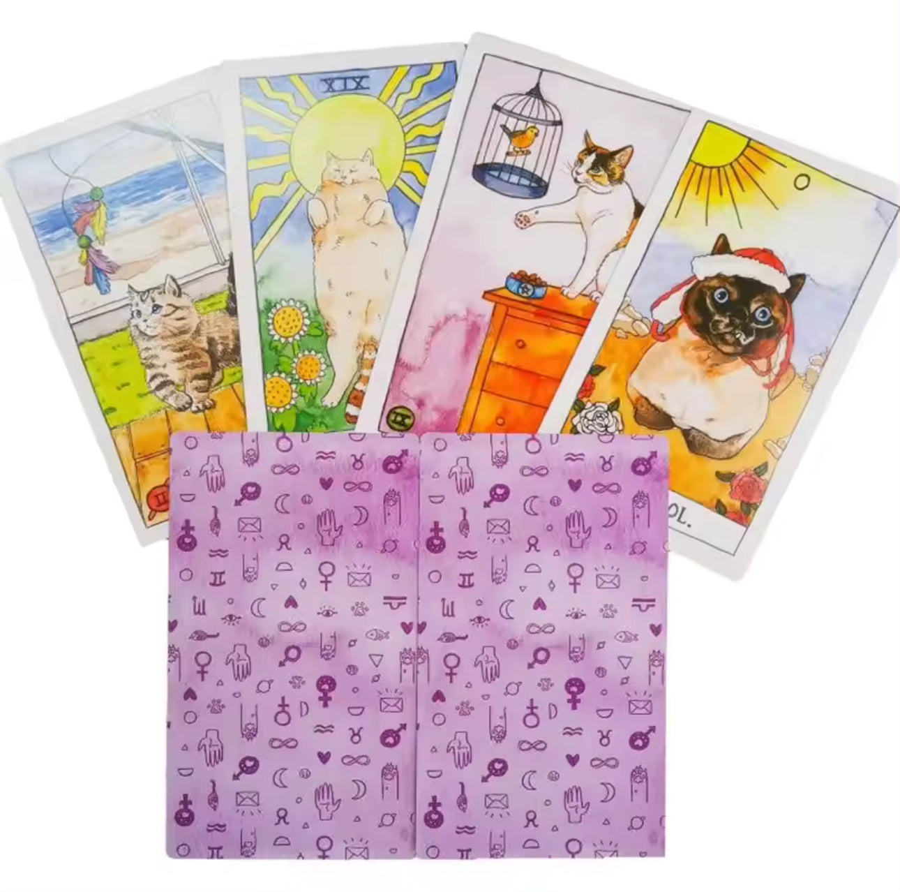 Cat Tarot 78 Cards