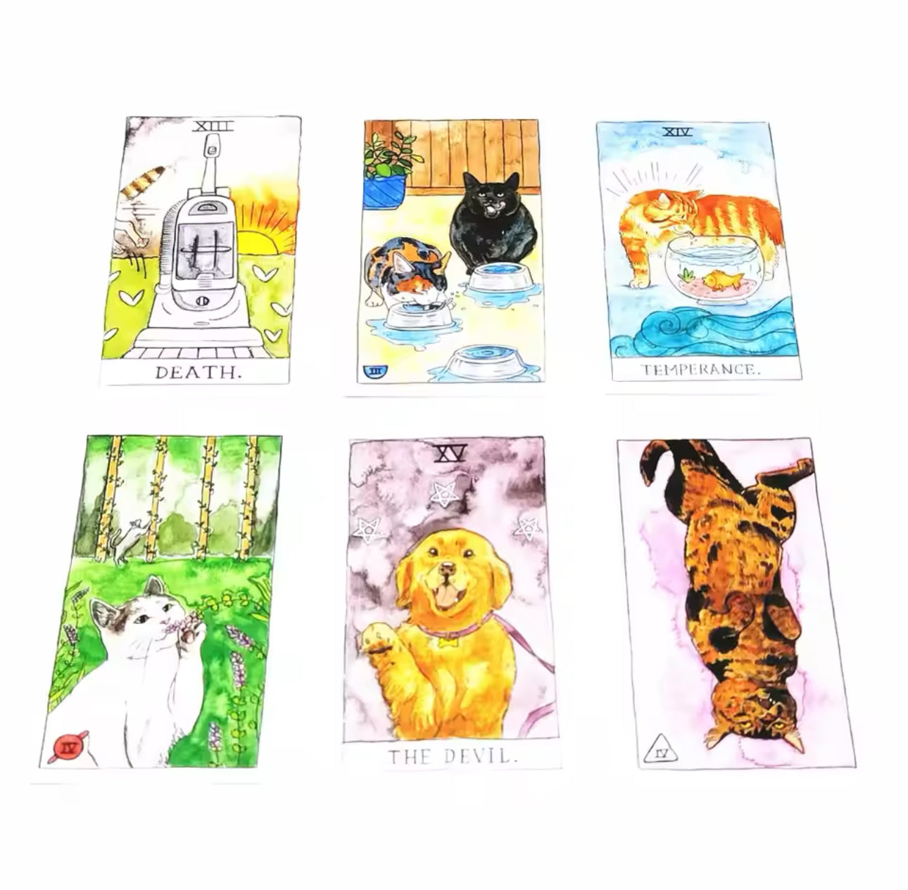 Cat Tarot 78 Cards