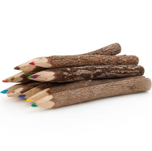 BUNDLE OF 10 TWIG PENCILS