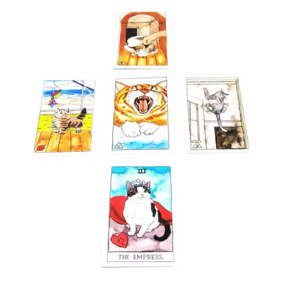 Cat Tarot 78 Cards